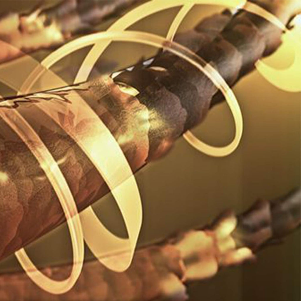 Moroccan Organic Argan Oil Revitalizing Conditioner