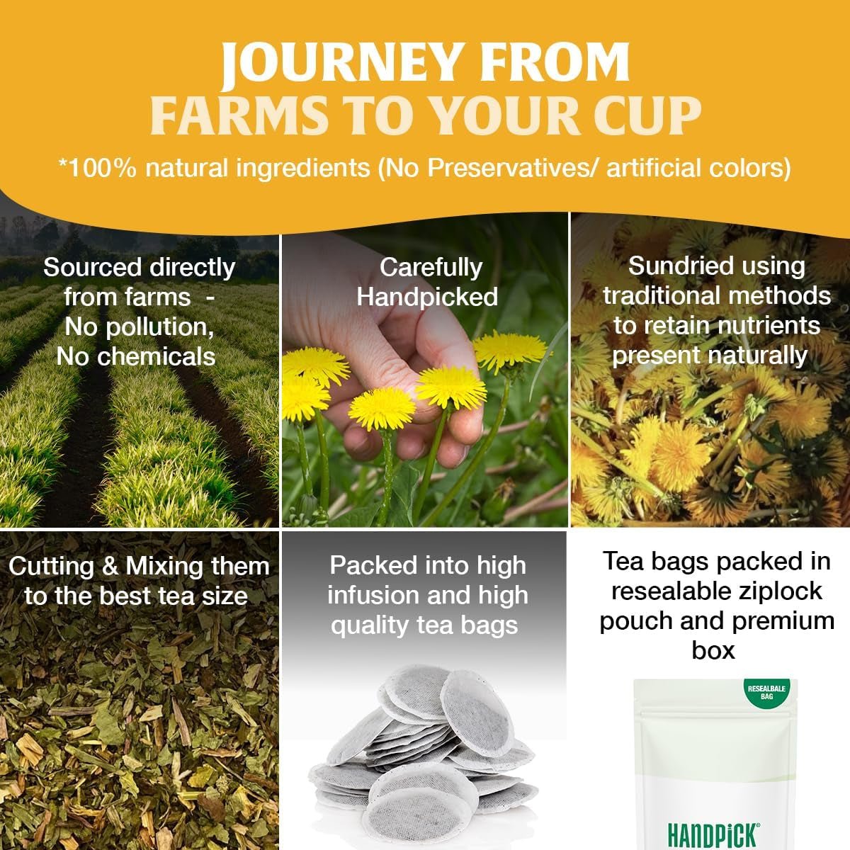 , Dandelion Root & Leaf Tea Bags (100 Herbal Tea Bags) Caffeine - Free Herbal Blend | Eco - Conscious Teabags | Direct from Source - ozganics