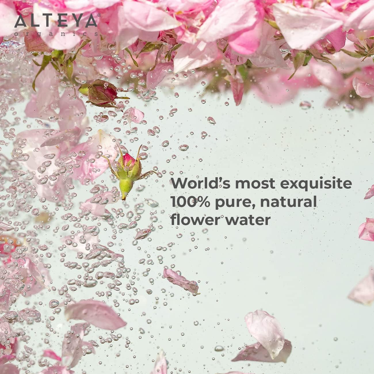 Alteya High-Potency Rose Water USDA Organic Facial Toner, 3000 Roses in a Bottle, 3.4 Fl Oz/100Ml Pure Bulgarian Rosa Damascena Flower Water, Award-Winning Moisturizer in Miron Biophotonic Glass